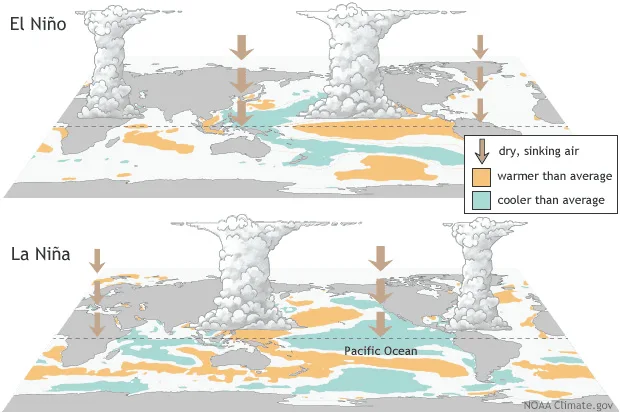ภาพจาก www.climate.gov/enso