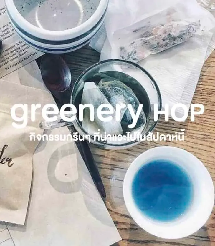 Greenery Hop: ใกล้หมดเดือนมีนาฯ ถ้ายังไม่มีใคร ไปหาอะไรกรีนๆ ทำช่วง 17 – 23 มีนาคมนี้กัน