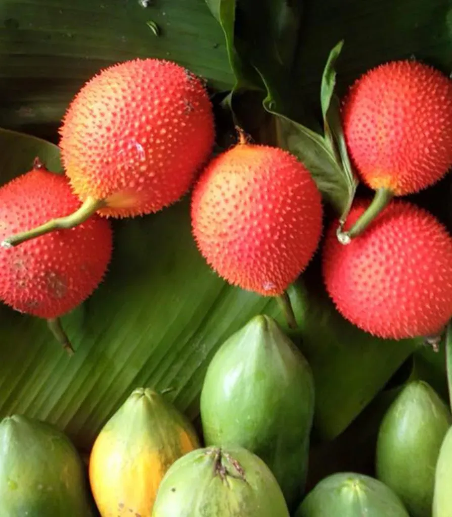 6 ตลาดนัดเหนือจรดใต้ ที่สายกรีนต้องใจเต้น