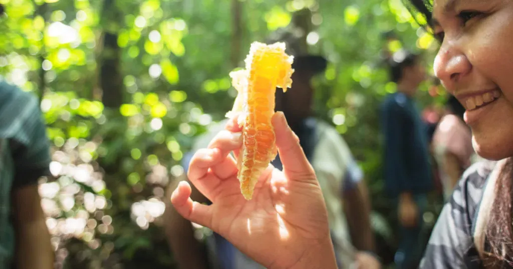 3 วันที่เราเดินเท้าเข้าไปค้นหารวงผึ้งในป่าของชาวปกาเกอะญอ