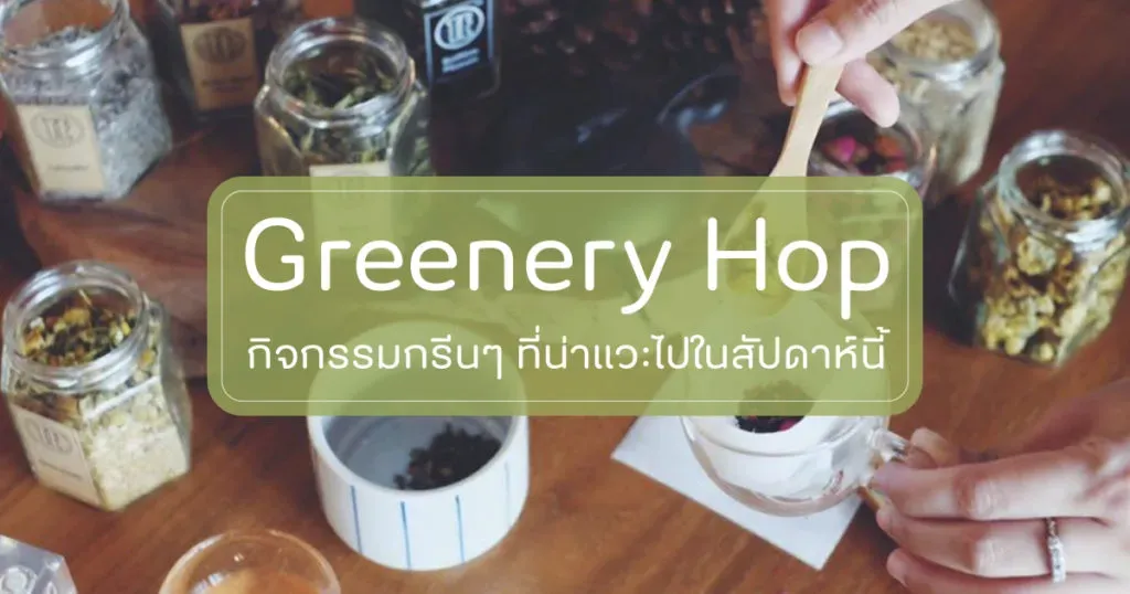 จูงมือคนข้างๆ ไปใช้วันว่างกับกิจกรรมสุดกรีน 29 มิถุนายน – 5 กรกฎาคมนี้