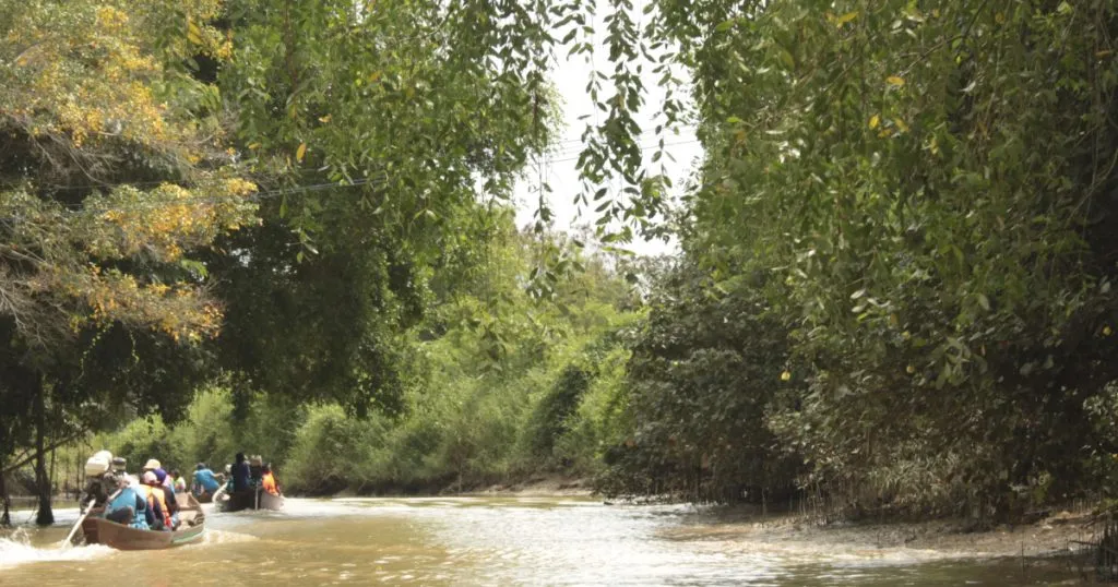 เที่ยวช้าๆ ริมป่าชายเลน ตำกะปิ เก็บหอย ลอยเรือชมหิ่งห้อยที่บ้านลีเล็ด สุราษฎร์ธานี