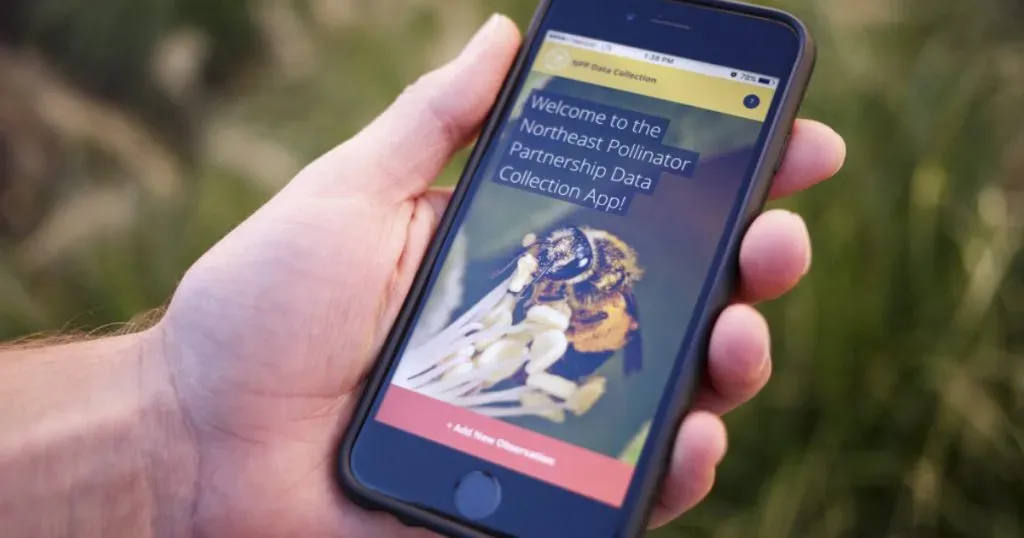 Pollinator Partnership ชวนกันมาเป็นพันธมิตรปกป้องผึ้ง