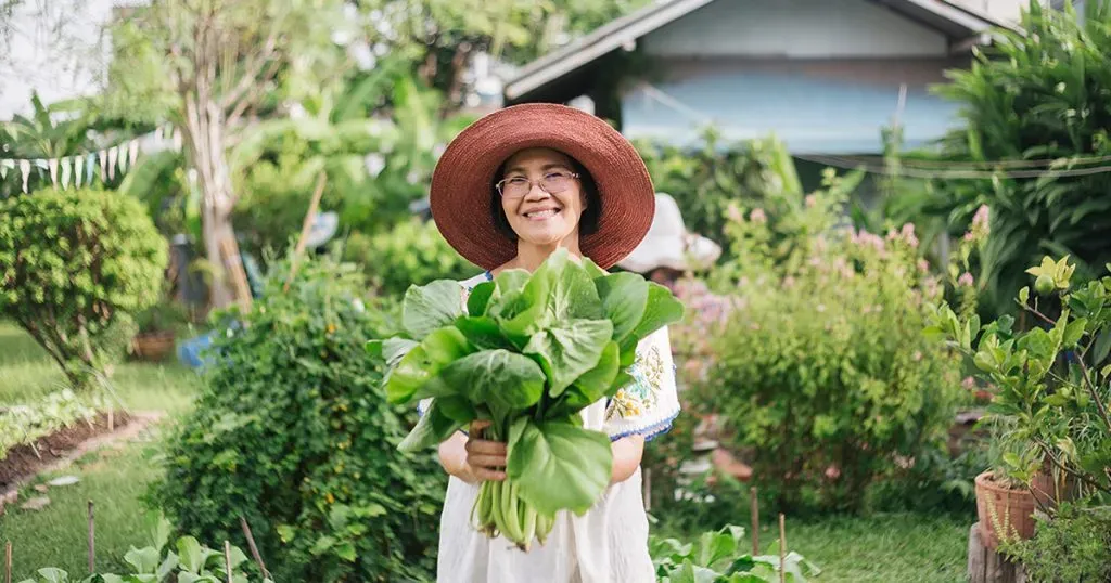 แม่บ้านใจกล้าที่ลุกขึ้นมาทำแปลงผัก และวิธีปลูกผัก 101 ตามฉบับคนเมือง