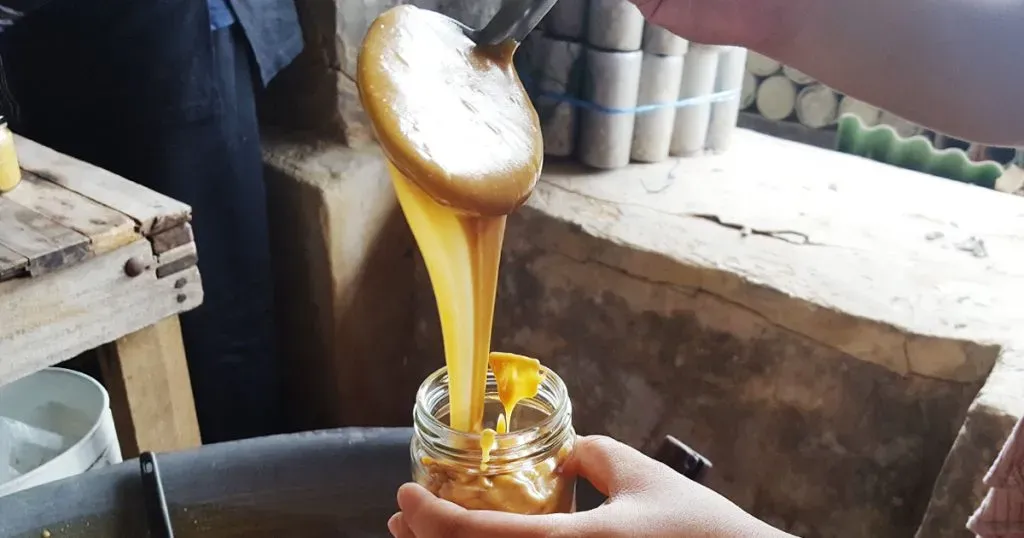 น้ำตาลไม่ได้มีแค่ความหวาน! เรื่องน่าว้าวในสวนมะพร้าว ‘เพียรหยดตาล’ ของเกษตรกรรุ่นใหม่