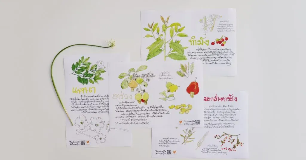 อาหารตาที่ชวนให้กินอาหารดี: ภาพวาดสีน้ำผักพื้นบ้านจากกฤช เหลือลมัย