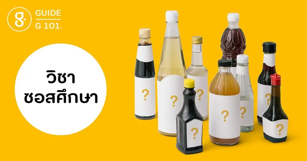 G101 ซอสศึกษา