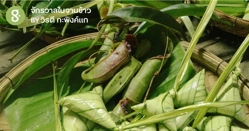 ล้อมวงกินอาหารหรอยในป่าดิบชื้นกลางทะเลใส สุดยอด superlife ที่เกาะยาวใหญ่ จังหวัดพังงา