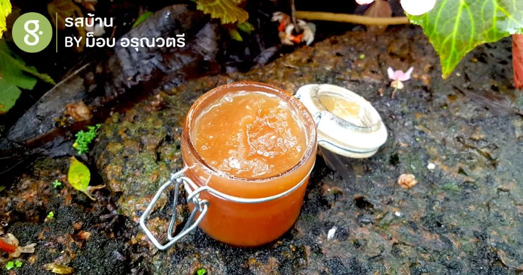 เก็บมะยมมากวน เป็น ‘แยมมะยม’ รสกลมกล่อม