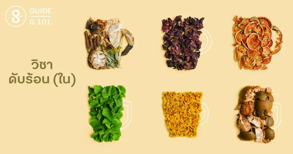 G101 วิชาดับร้อน (ใน)