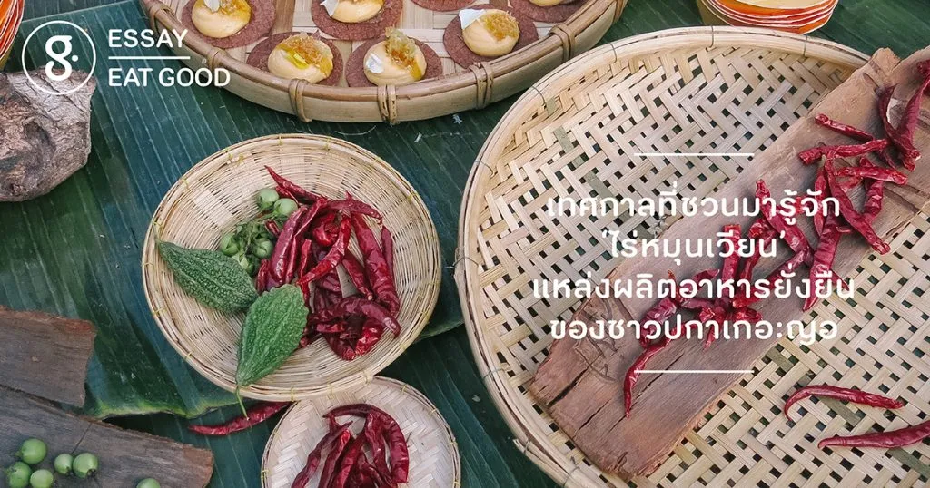 เทศกาลที่ชวนมารู้จัก ‘ไร่หมุนเวียน’ แหล่งผลิตอาหารยั่งยืนของชาวปกาเกอะญอ