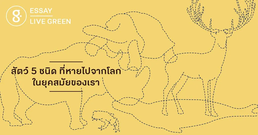 สัตว์ 5 ชนิดที่หายไปจากโลกในยุคสมัยของเรา