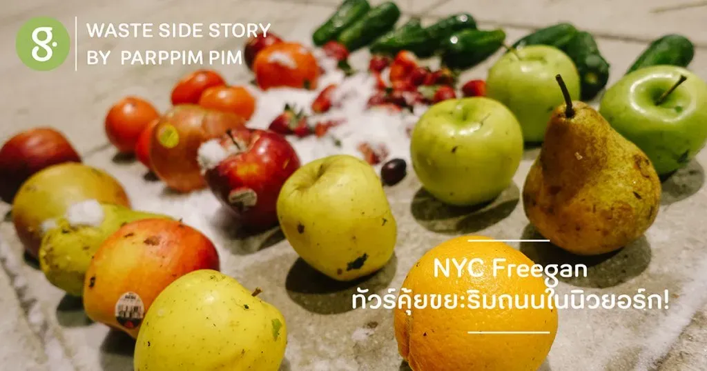 NYC Freegan: ทัวร์คุ้ยขยะริมถนนในนิวยอร์ก!