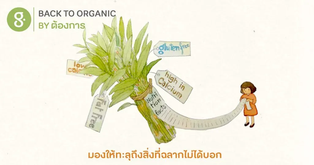 มองให้ทะลุถึงสิ่งที่ฉลากไม่ได้บอก