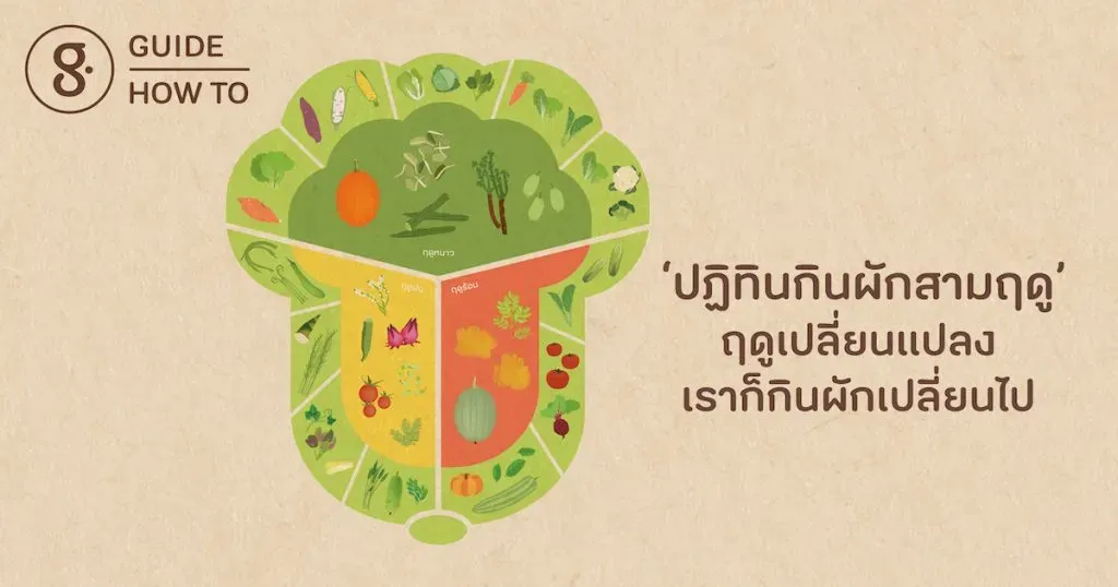 ฤดูเปลี่ยนแปลง เราก็กินผักเปลี่ยนไป เพราะเราใช้ ‘ปฏิทินกินผักสามฤดู’