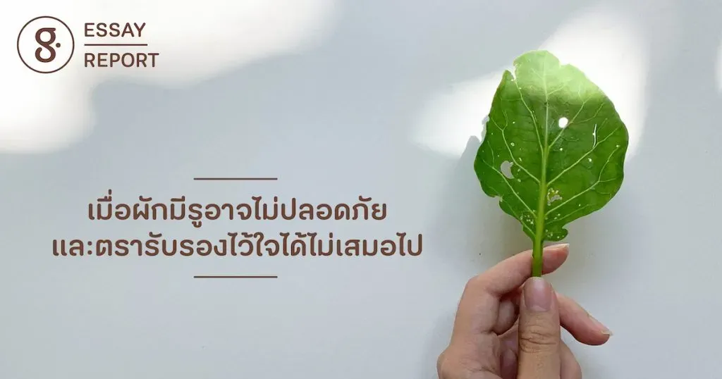 เมื่อผักมีรูอาจไม่ปลอดภัย และตรารับรองไว้ใจไม่ได้