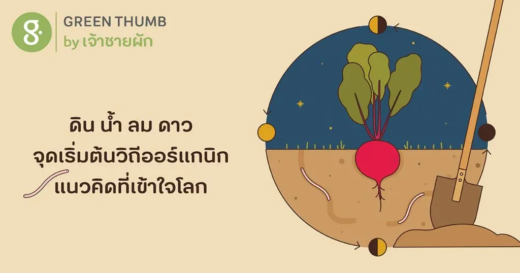 ดิน น้ำ ลม ดาว จุดเริ่มต้นวิถีออร์แกนิก