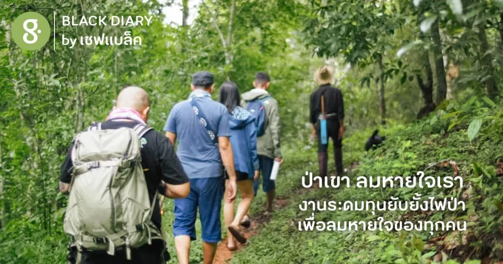 ป่าเขา ลมหายใจเรา งานระดมทุนยับยั้งไฟป่า เพื่อลมหายใจของทุกคน