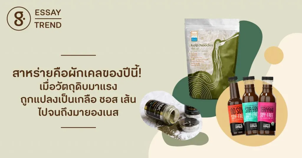 สาหร่ายคือผักเคลของปีนี้! เมื่อวัตถุดิบมาแรงถูกแปลงเป็นเกลือ ซอส เส้น ไปจนถึงมายองเนส