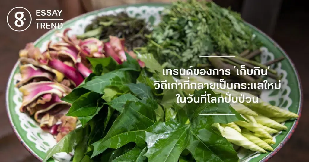 ชวนมา ‘เก็บกิน’ วิถีเก่าที่กลายเป็นกระแสใหม่ในวันที่โลกปั่นป่วน