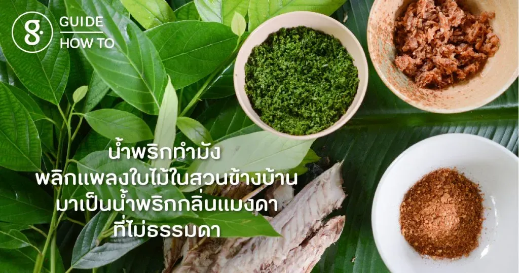 น้ำพริกทำมัง พลิกแพลงใบไม้ในสวนข้างบ้าน มาเป็นน้ำพริกกลิ่นแมงดาที่ไม่ธรรมดา