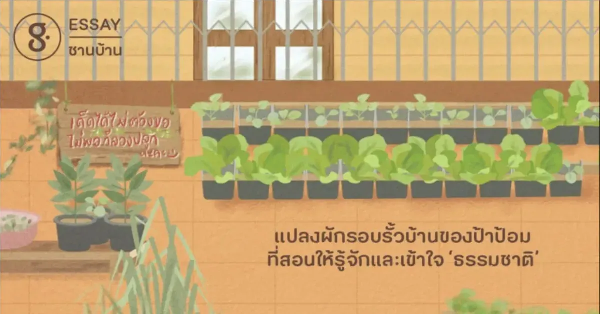 แปลงผักรอบรั้วบ้านของป้าป้อม ที่สอนให้รู้จักและเข้าใจ ‘ธรรมชาติ’