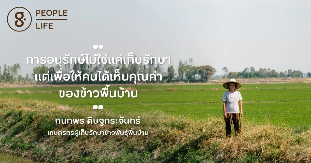 กนกพร ดิษฐกระจันทร์ ผู้อนุรักษ์พันธุ์ข้าวพื้นบ้าน เพื่อความหลากหลายของคุณค่าและรสชาติ