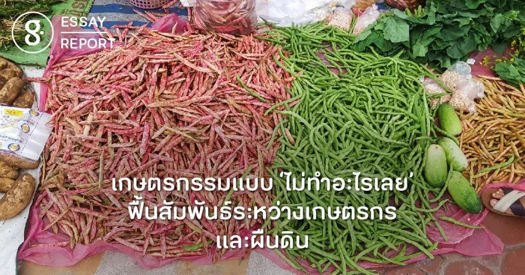 เกษตรกรรมแบบ ‘ไม่ทำอะไรเลย’ ฟื้นสัมพันธ์ระหว่างเกษตรกรและผืนดิน