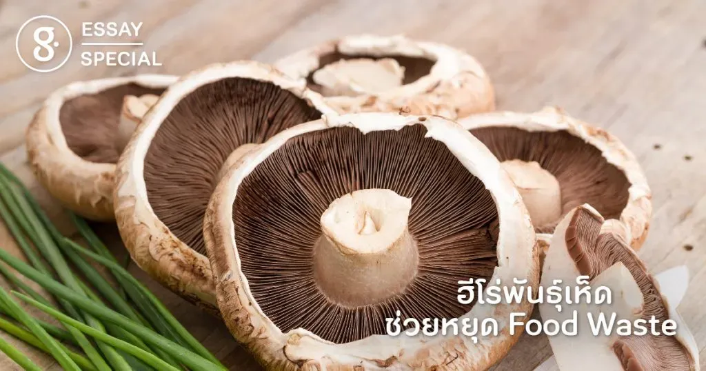 ฮีโร่พันธุ์เห็ด ช่วยหยุด Food Waste