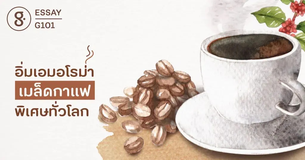 อิ่มเอมอโรม่า เมล็ดกาแฟพิเศษทั่วโลก