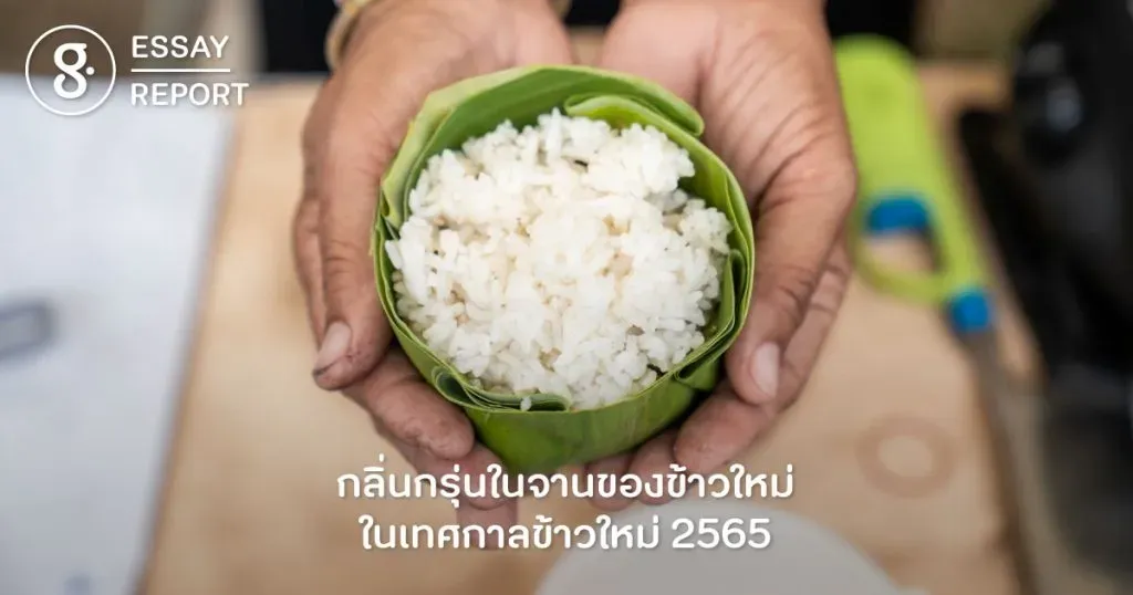กลิ่นกรุ่นในจานของข้าวใหม่ ในเทศกาลข้าวใหม่ 2565