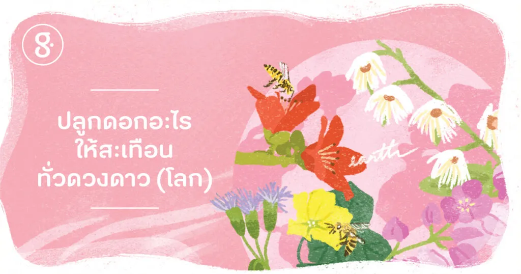 ปลูกดอกอะไร ให้สะเทือนทั่วดวงดาว (โลก)