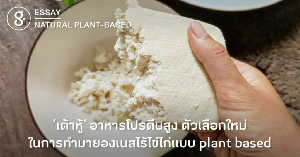 ‘เต้าหู้’ อาหารโปรตีนสูง ตัวเลือกใหม่ในการทำมายองเนสไร้ไข่ไก่แบบ plant based