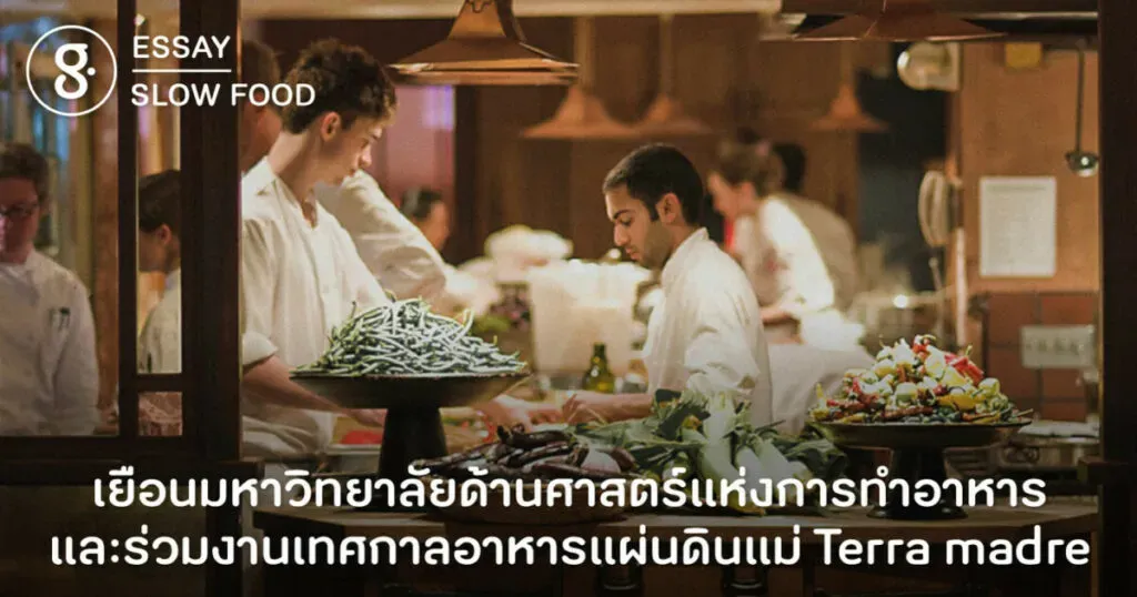 เยือนมหาวิทยาลัยด้านศาสตร์แห่งการทำอาหาร และร่วมงานเทศกาลอาหารแผ่นดินแม่ Terra madre