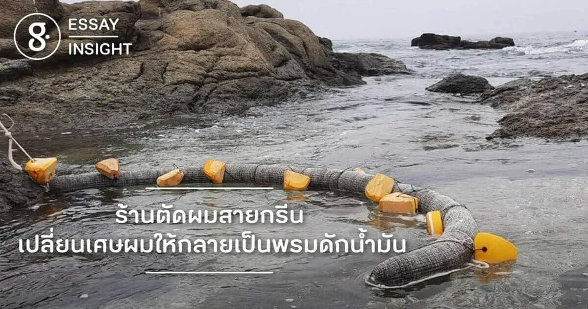 ร้านตัดผมสายกรีน เปลี่ยนเศษผมให้กลายเป็นพรมดักน้ำมัน