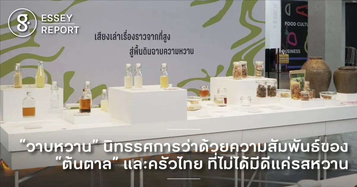 “วาบหวาน” นิทรรศการว่าด้วยความสัมพันธ์ของ “ต้นตาลโตนด” และครัวไทย ที่ไม่ได้มีดีแค่รสหวาน