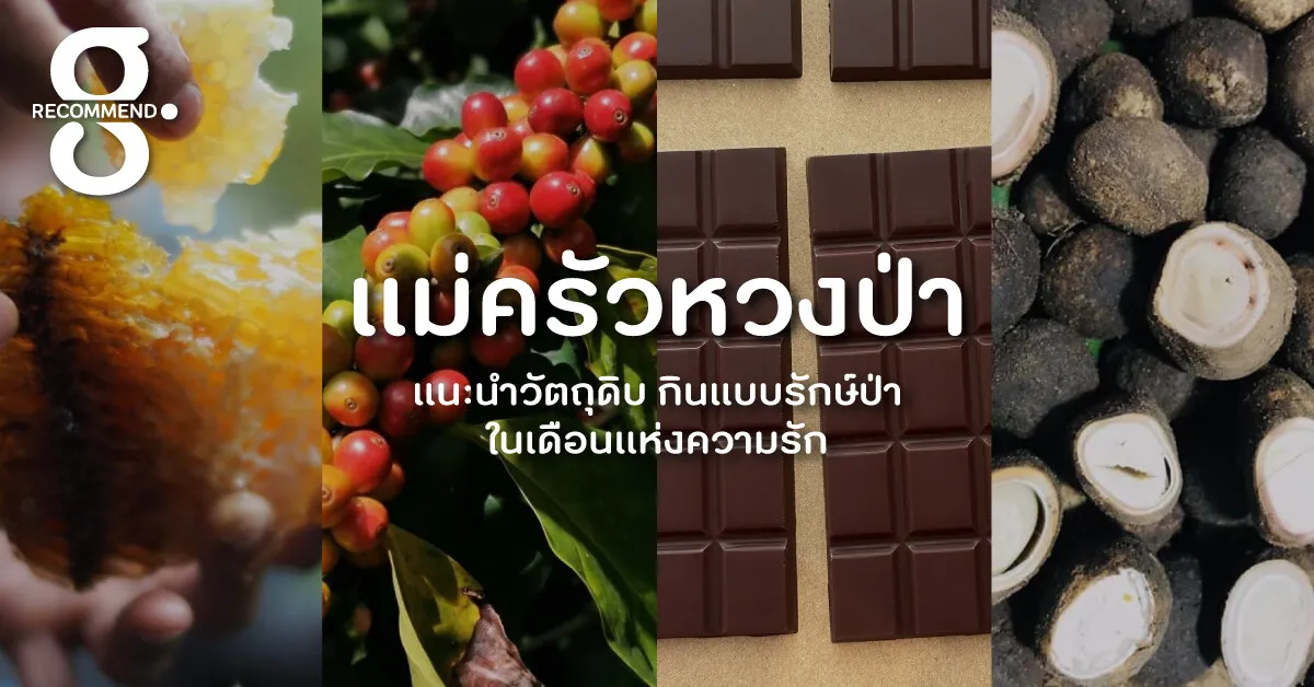 แม่ครัวหวงป่า แนะนำวัตถุดิบรักษ์ป่าในเดือนแห่งความรัก