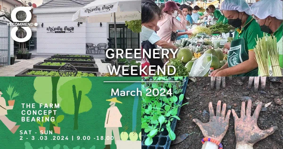 แจกลายแทงเดือนมีนา กรีนไม่พักทั้งพิกัดใกล้ไกล