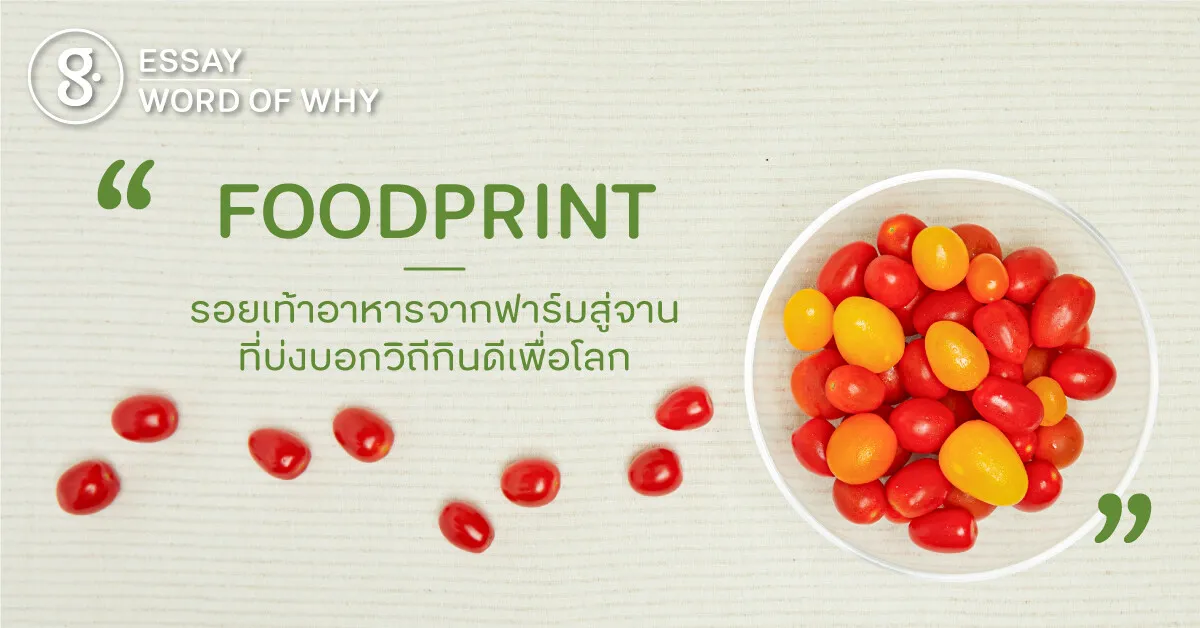 รู้จัก Foodprint รอยเท้าที่เราฝากไว้จากการเลือกบริโภค