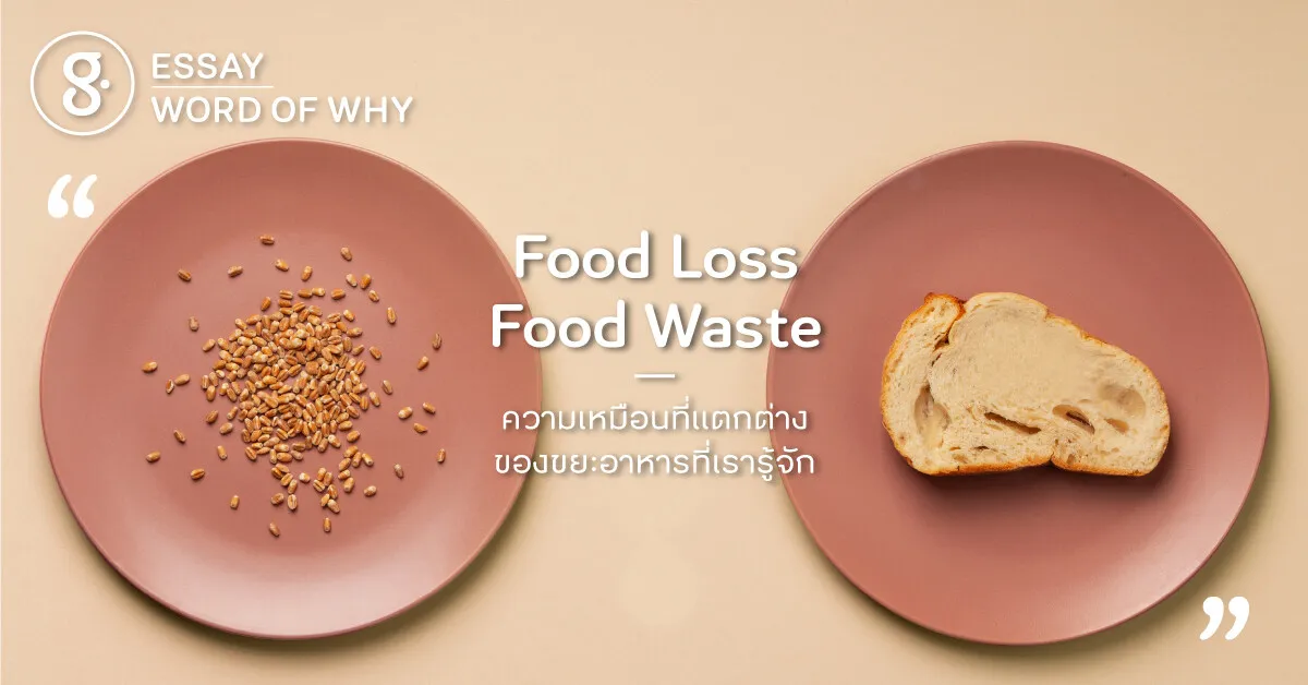 Food Loss กับ Food Waste ความเหมือนที่แตกต่างของขยะอาหารที่เรารู้จัก