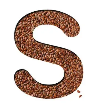 4 คำควรรู้ (ให้ลึก) ของนักกินสายสุขภาพ