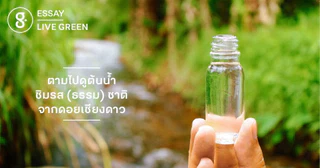 ตามไปดูต้นน้ำ ชิมรส (ธรรม) ชาติ จากดอยเชียงดาว