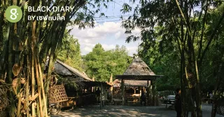 ที่เคยกินกันมันไม่ใช่สาคู! เมื่อเชฟลงใต้ไปพบต้นสาคูแท้ๆ แถมแจกสูตรให้ด้วย