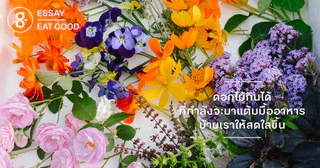 ดอกไม้กินได้ที่กำลังจะมาแต้มมื้ออาหารบ้านเราให้สดใสขึ้น
