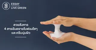 สวยสังหาร: 4 สารอันตรายในฟองใสๆ และครีมนุ่มผิว