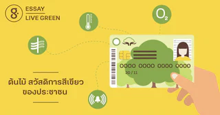 ต้นไม้ สวัสดิการสีเขียวของประชาชน