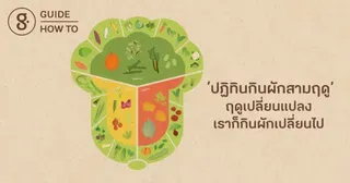 ฤดูเปลี่ยนแปลง เราก็กินผักเปลี่ยนไป เพราะเราใช้ ‘ปฏิทินกินผักสามฤดู’