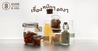 G101 เรื่องหมักๆ ดองๆ