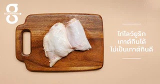 ไก่โลว์ยูริก เกาต์กินได้ ไม่เป็นเกาต์ก็กินดี