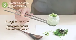 Fungi Mutarium ทดลองเพาะเห็ดกินได้ ที่ย่อยพลาสติกได้ด้วย!